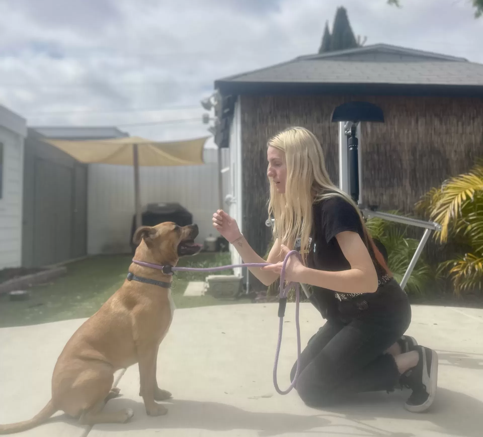 Dog Training San Diego
